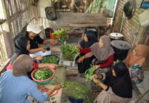 Students from Various Disciplines Reflect on Local Food Systems During Sustainable Awareness Day #2
