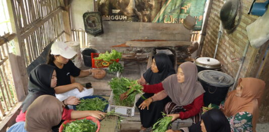 Students from Various Disciplines Reflect on Local Food Systems During Sustainable Awareness Day #2