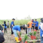 Students of Community Service Plant 1,250 Mangrove Seedlings in South Teluk Betung