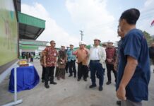 Strengthening Cassava Downstreaming, Unila Joins National Development Synergy with Bappenas and Sungai Budi Group