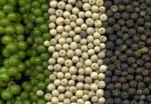 Rektor Dukung Revitalisasi Lada Lampung