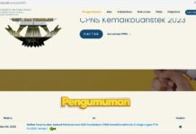 Perpanjangan Waktu Pengisian DRH bagi Peserta yang Dinyatakan Lulus Hasil Optimalisasi Pengisian Kebutuhan PPPK Kemdikbudristek TA 2022