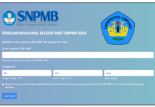 Pengumuman: HASIL SELEKSI SNBT 2024