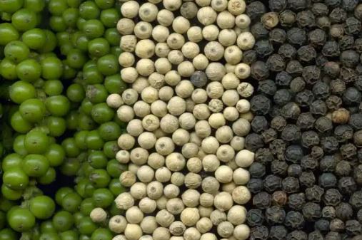 Rektor Dukung Revitalisasi Lada Lampung