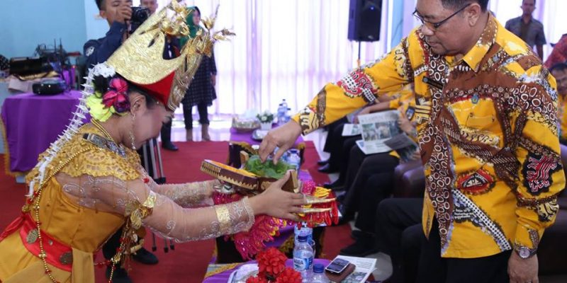 49344442_578238652636354_947426492227256320_n