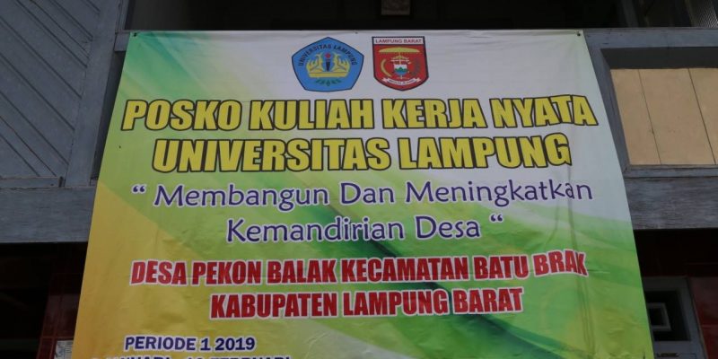 51380781_594438871016332_7513649026374303744_o