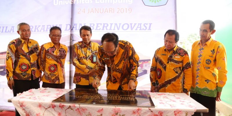 WhatsApp Image 2019-01-24 at 3.10.35 PM (1)