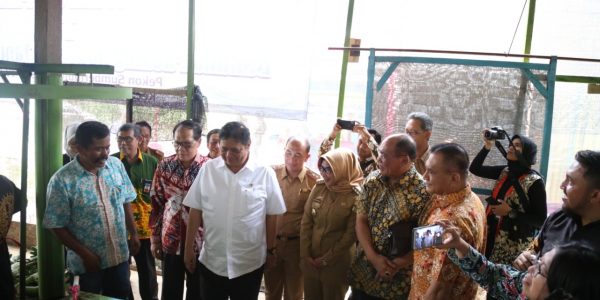 Industri Hortikultura Tanggamus (2)