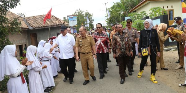 Industri Hortikultura Tanggamus (4)