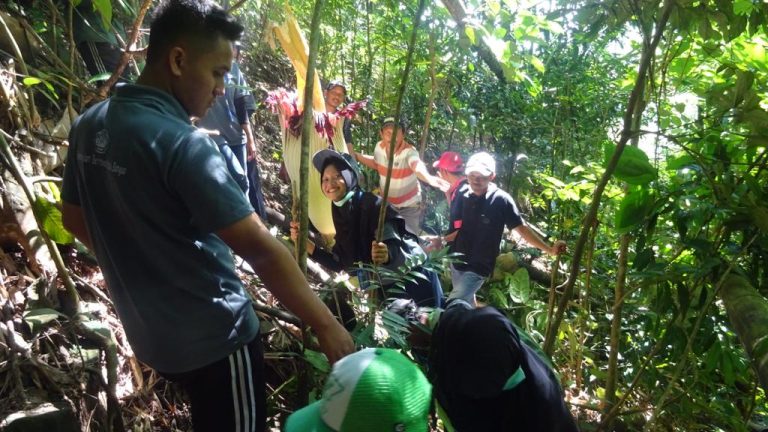 Mahasiswa KKN Kembangkan Ekowisata Air Terjun Pekon Basungan Lambar