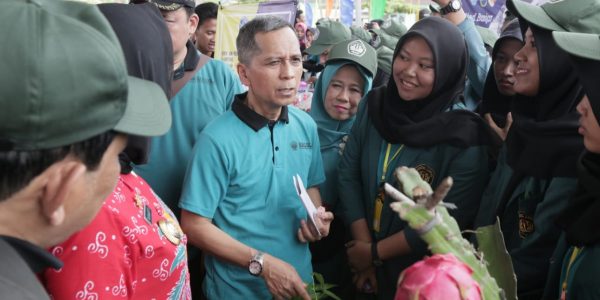 KKN (1)