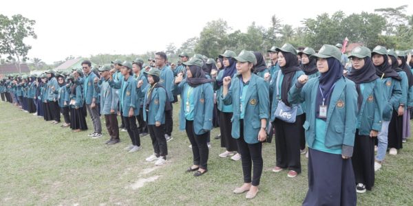 KKN (3)