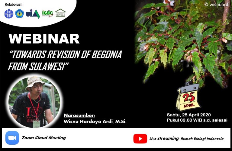 Webinar Biologi FMIPA “Towards Revision of Begonia from Sulawesi”