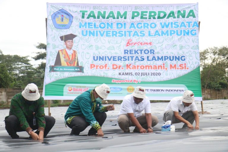 Manfaatkan Lahan, Unila Gagas Konsep Agrowisata Melon
