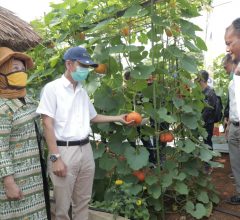 Panen Perdana dan Grand Launching Kebun Agrowisata Melon Unila