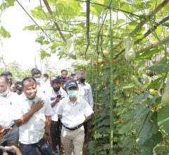 Panen Perdana dan Grand Launching Kebun Agrowisata Melon Unila