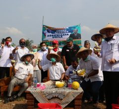 Panen Perdana dan Grand Launching Kebun Agrowisata Melon Unila