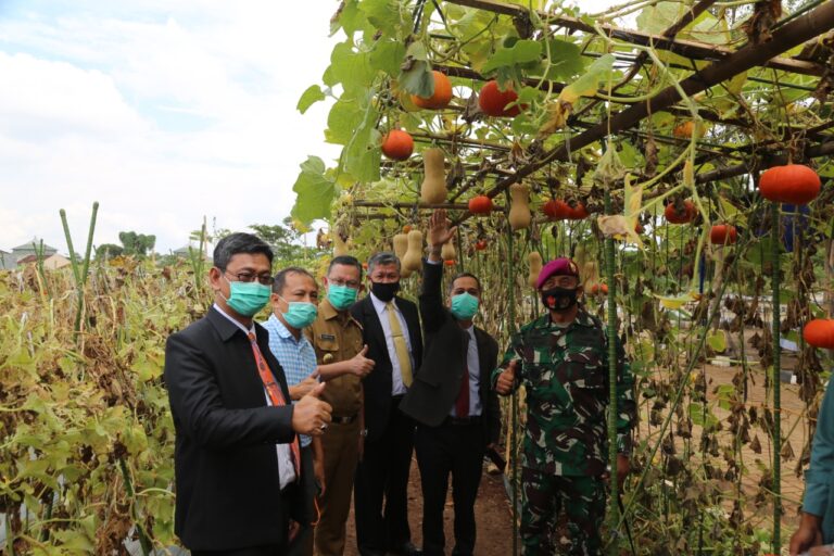 Sekdaprov Lampung dan Danbrigif 4 Mar/BS Berkunjung ke Agrowisata Melon Unila