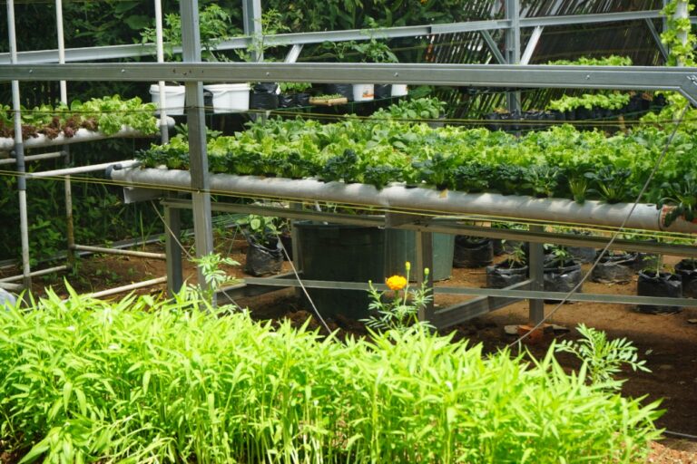 Gamatala Unila Raih Dana Hibah Program PHP2D Kemendikbud