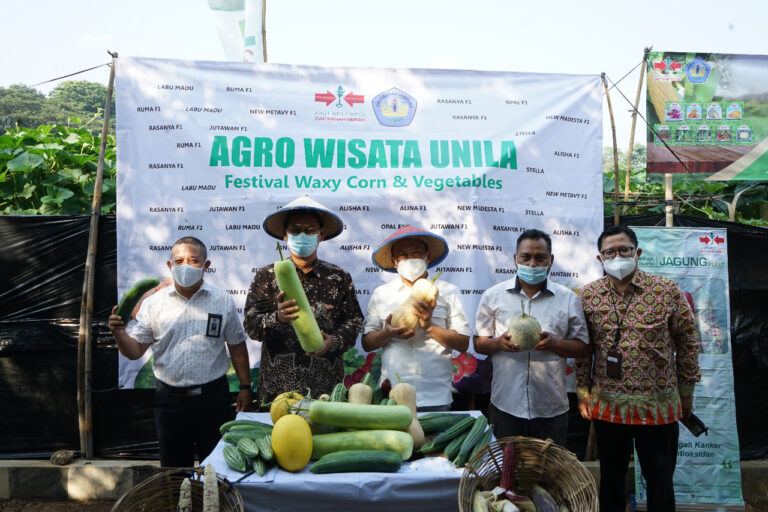 Panen Raya Agro Wisata Unila, Asyik Buat Ngabuburit