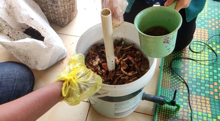 Mahasiswa KKN Unila Sosialisasikan Pembuatan Pupuk Kompos di Desa Labuhan Ratu V