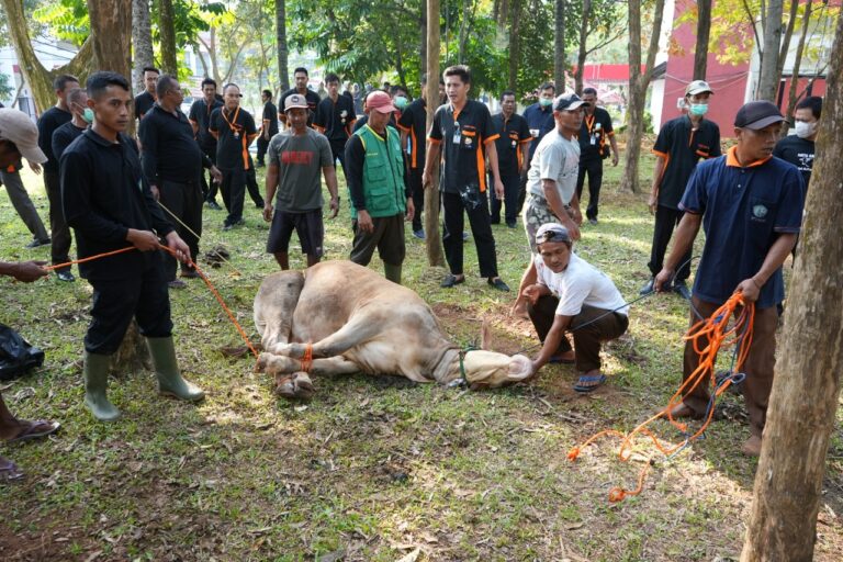 Sambut Iduladha 1443 H, Unila Usung Konsep Green Kurban