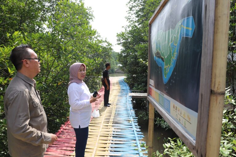 100 Hari Progja, Rektor Tinjau Ekowisata Mangrove Cukuh Nyinyi