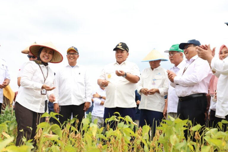 Rektor dan Gubernur Lampung Panen Perdana Kedelai di Kebun Percobaan FP 