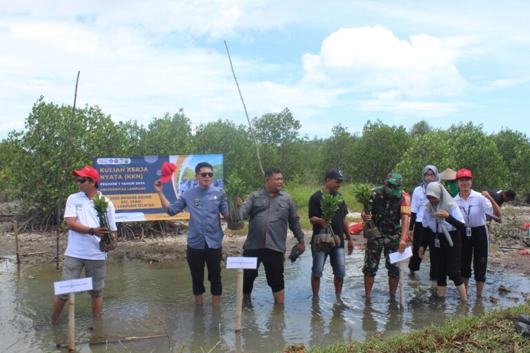 Mahasiswa KKN dan Komunitas Bandar Agung Tanam 2.000 Mangrove di Sragi 