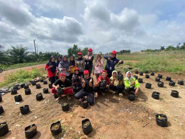 Kelompok KKN Unila Dorong Pemanfaatan Lahan Kosong Taman Cabai dan Terong