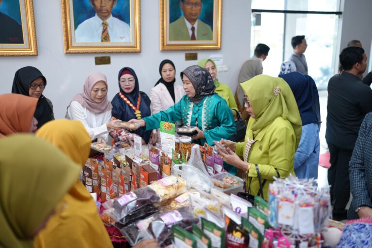 FEB dan PIISEI Kolaborasi Gelar Sosialisasi UMKM Manfaatkan e-Wallet dan Bantuan Kredit