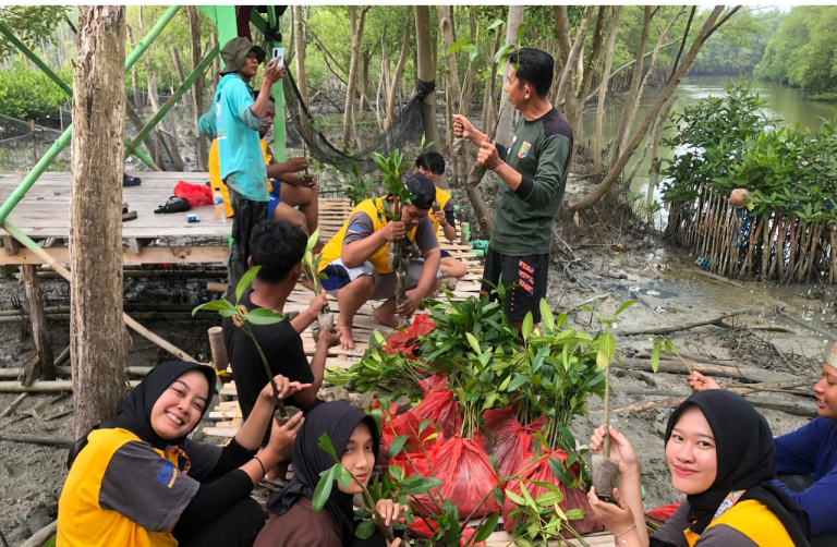 1.000 Bibit Harapan Hijau di Purworejo, Mahasiswa KKN Lindungi Pantai dari Abrasi