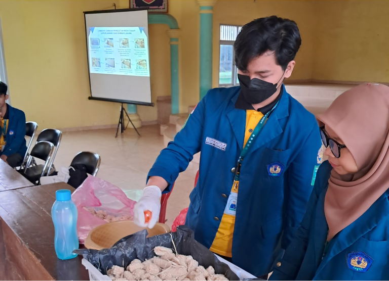 Mahasiswa KKN Unila Sosialisasikan Pemanfaatan Bonggol Jagung