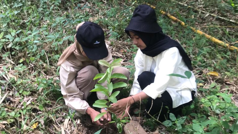 Karya Salemba Empat Gelar Penanaman Pohon Serentak di 40 Titik di Indonesia