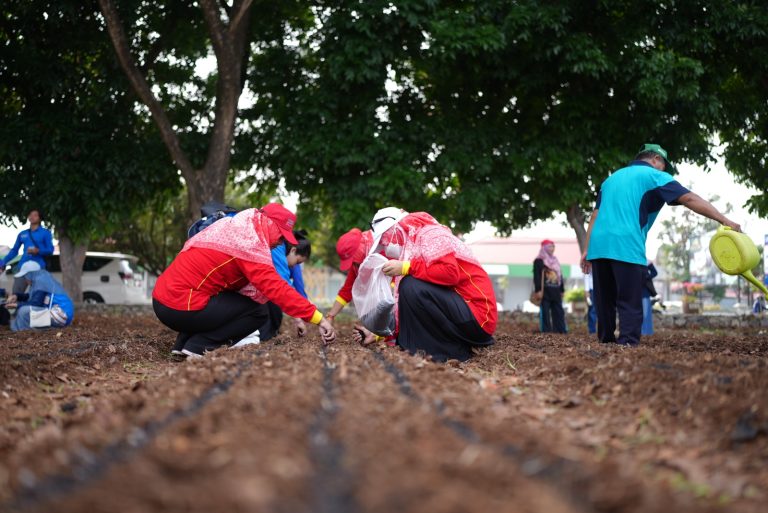 Lomba Menanam Sayuran Meriahkan HUT ke-25 DWP dan Hari Ibu ke-96
