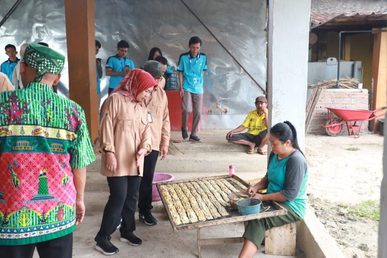 Rektor Kunjungan MBKM Proteksi di UMKM Robbani