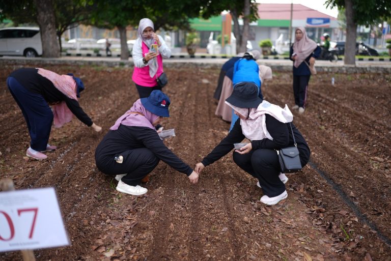 DWP Gelar Lomba Menanam Sayuran, Wujudkan Ketahanan Pangan Berkelanjutan