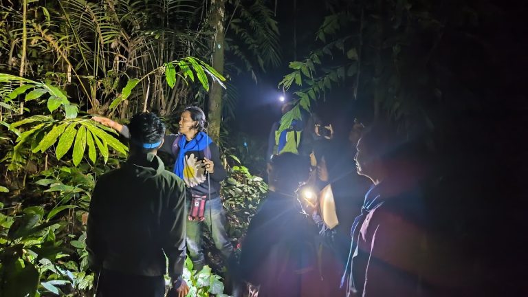 Ekspedisi SHOREA Tim Herpetofauna, Jelajahi Keanekaragaman Habitat di TNBBS