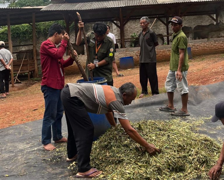 Mahasiswa KKN Gelar Pelatihan Silase Pakan Ternak