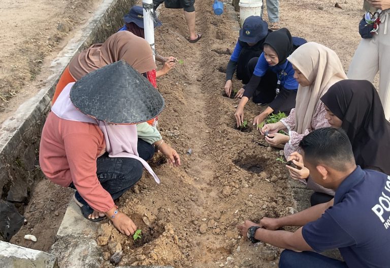 Mahasiswa KKN Lakukan Penanaman 1000 Bibit Cabai dan Terong di Subang Jaya