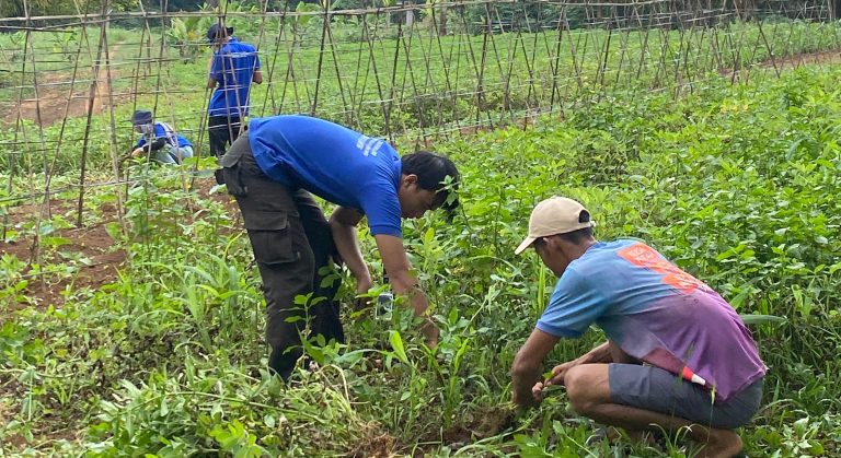 Mahasiswa KKN Unlia Adakan Sosialisasi Budidaya Tumbuhan Azolla : Solusi Pakan Ternak dan Pupuk di Desa Bumi Nabung Lampura.