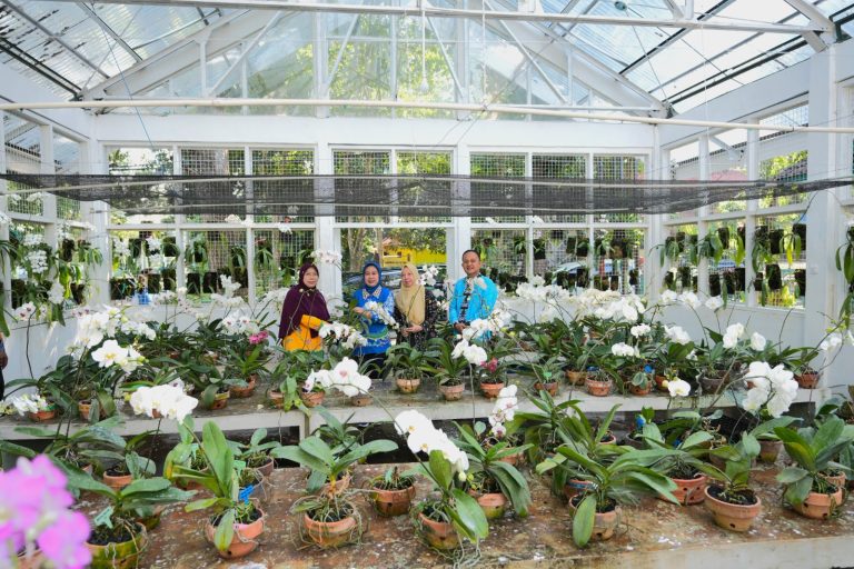 Unila Kembangkan Pusat Penelitian Genetik Anggrek, Wujud Nyata Komitmen pada Konservasi dan Pendidikan