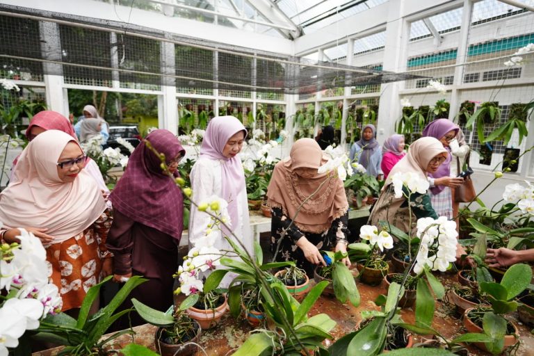PUI Anggrek Unila Gelar Soft Launching dan Tinjau Tempat Penanaman Anggrek