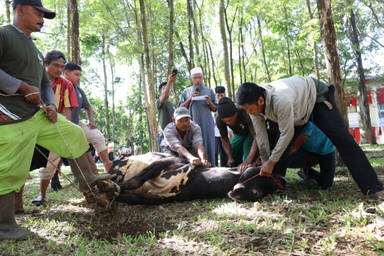 Unila Distribusikan 3.446 Kupon Daging Kurban pada Iduladha 1447 H