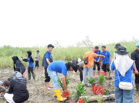 Mahasiswa KKN Tanam 1.250 Bibit Mangrove di Teluk Betung Selatan