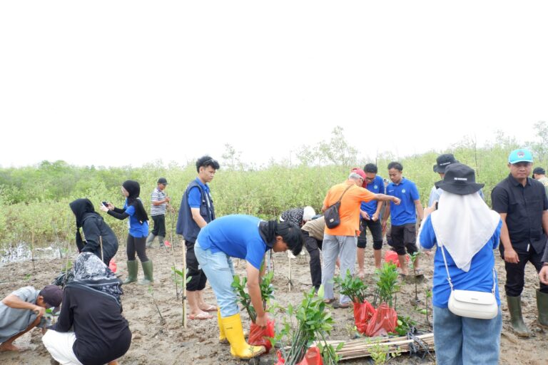 Mahasiswa KKN Tanam 1.250 Bibit Mangrove di Teluk Betung Selatan